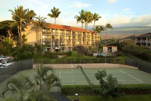 Sports court