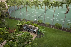 Terrain de sport