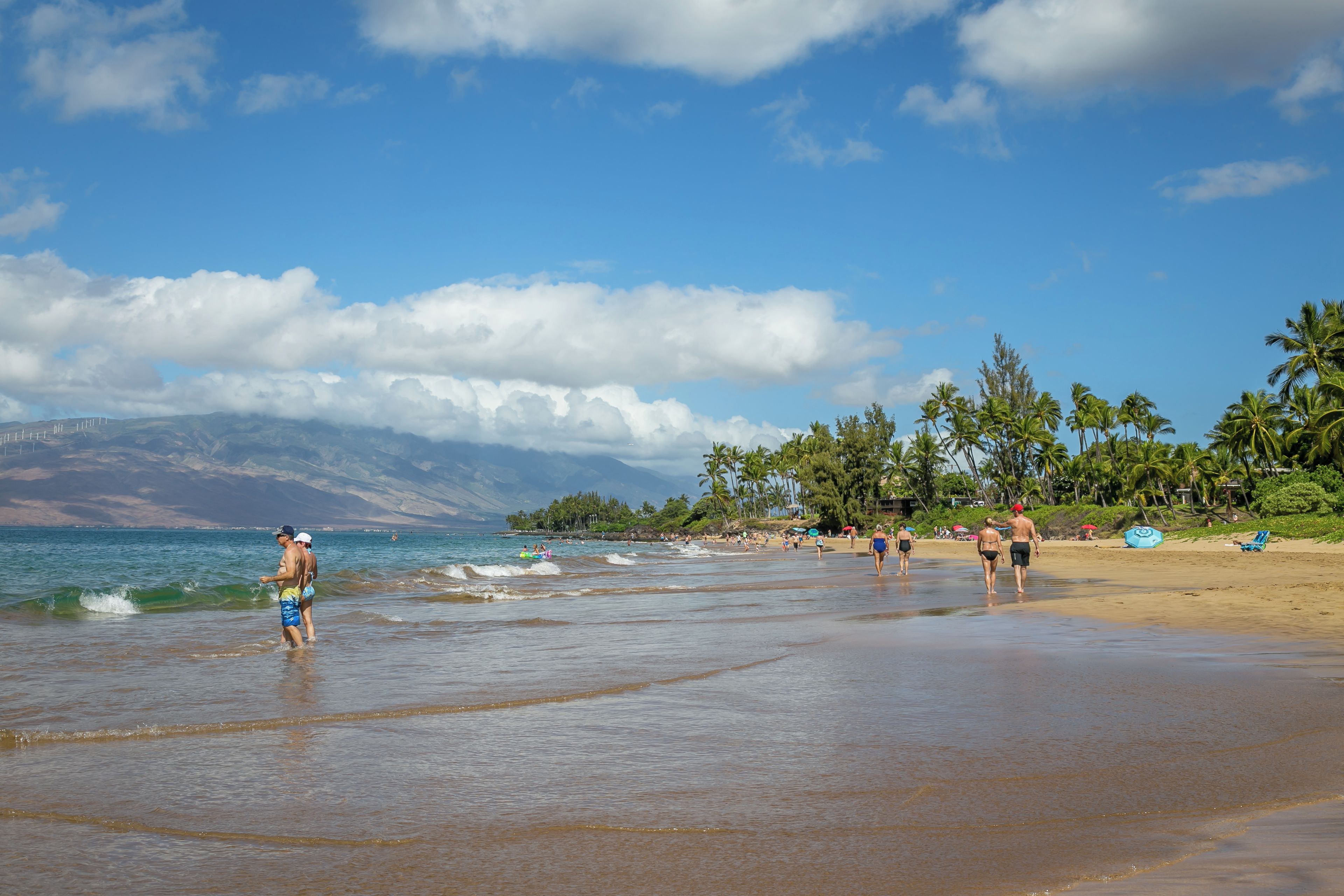 Une plage où l’on voit des gens se promener et se tenir debout, des palmiers et un ciel dégagé.