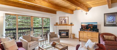 Fernseher, Kamin, DVD-Player