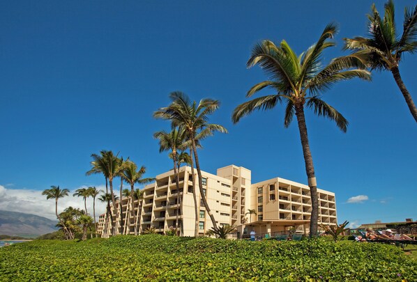 A hotel with multiple floors, palm trees, and a clear blue sky.