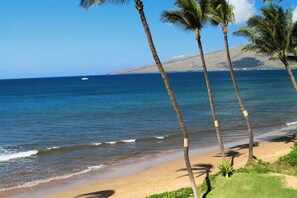 Plage, chaises longues, serviettes de plage