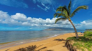 A beach with a palm tree, clear sky, and calm sea.