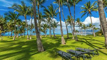A tropical setting with palm trees and a view of the ocean.