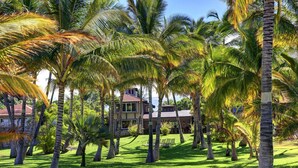 A tropical resort with palm trees and a building with a red roof.