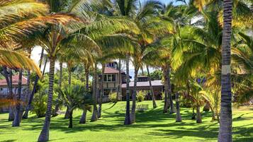 A tropical resort with palm trees and a building with a red roof.