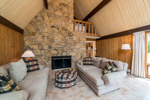 TV, DVD player, books, video library