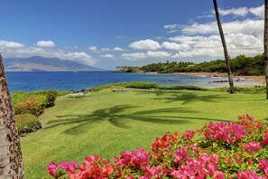 Property grounds - Oceanfront Retreat Stunning Views - Makena Surf F-107 - Amazing Snorkeling! (Makena, Maui)