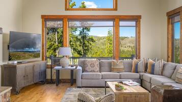 Smart TV, chimenea, reproductor de DVD y tenis de mesa