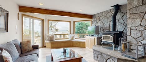 TV, fireplace, DVD player, books