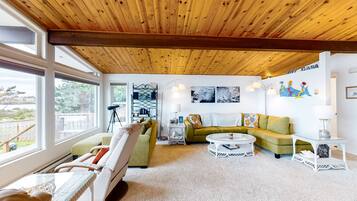 TV, fireplace, DVD player, books