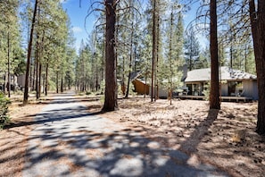 Escape to a secluded cabin nestled among tall pine trees, surrounded by a serene forest setting.