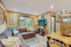 TV, video games, DVD player, books