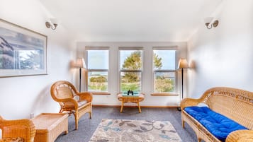 Televisión, chimenea, reproductor de DVD, libros