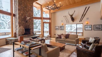 Télévision, cheminée, lecteur de DVD