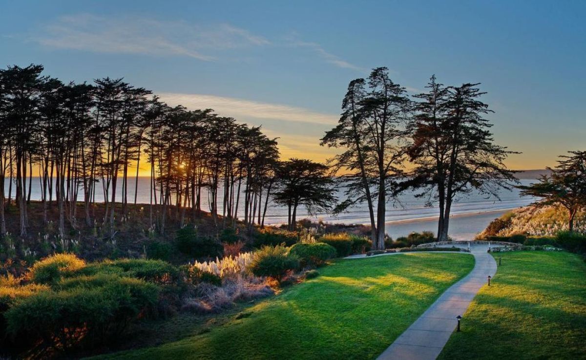 A pathway leading to a beach with tall trees and a sunset in the background.
