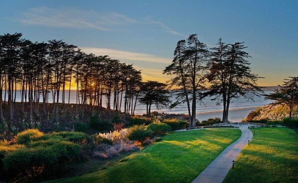 A pathway leading to a beach with tall trees and a sunset in the background.