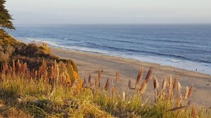 على الشاطئ، كراسي للتشمس