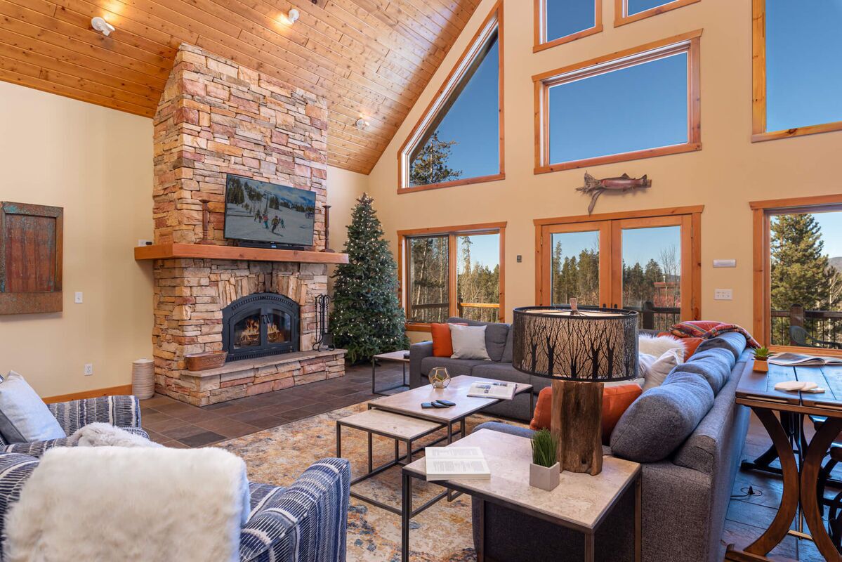 Smart TV, fireplace, DVD player, video library