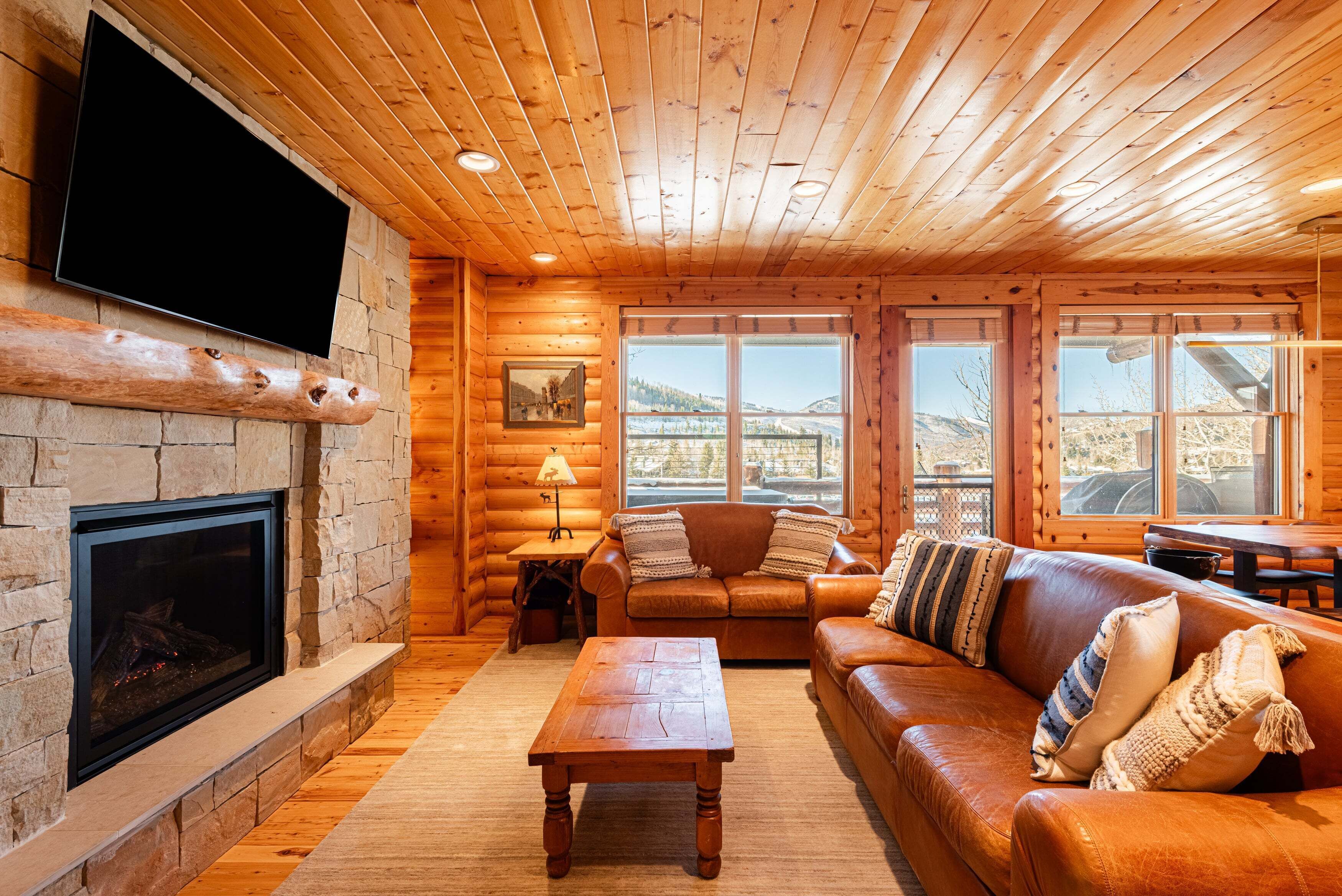 TV, fireplace