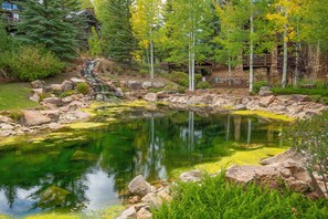 A serene pond with a small waterfall, surrounded by rocks and lush greenery. - Roomy, Luxurious Ski-In/Ski-Out w/ Views, Hot Tub! Bachelor Gulch, Beaver Creek (Edwards)