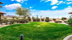 A well-maintained lawn with a variety of shrubs and a large tree, surrounded by a fence and a clear sky.