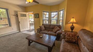 TV, DVD player, video library, stereo