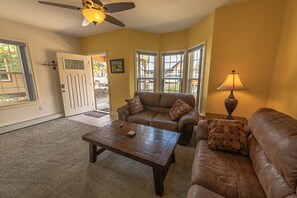 TV, DVD player, video library, stereo