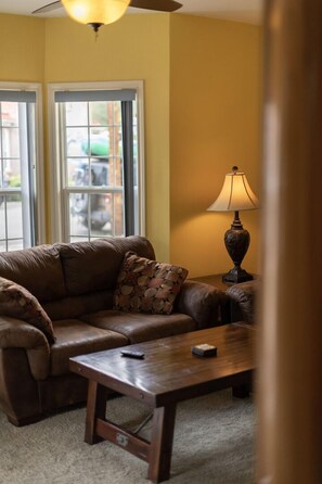 TV, DVD player, video library, stereo