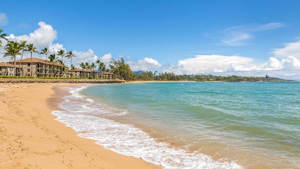 A beachfront hotel with a sandy beach, palm trees, and ocean views. - Pono Kai A-201  Air conditioned,  Oceanfront Condo on the Coconut Coast (Kapaa)