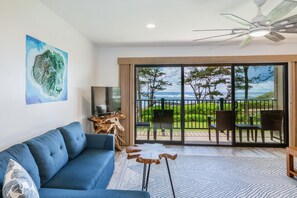 Flat-screen TV, DVD player