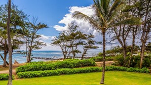A lush green lawn with palm trees and a view of the ocean. - Pono Kai A-201  Air conditioned,  Oceanfront Condo on the Coconut Coast (Kapaa)