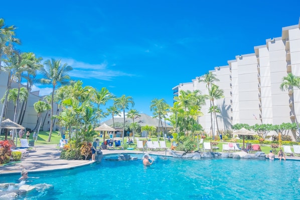 Relax by the pool surrounded by palm trees and lounge chairs.