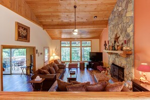 TV, fireplace, DVD player, books