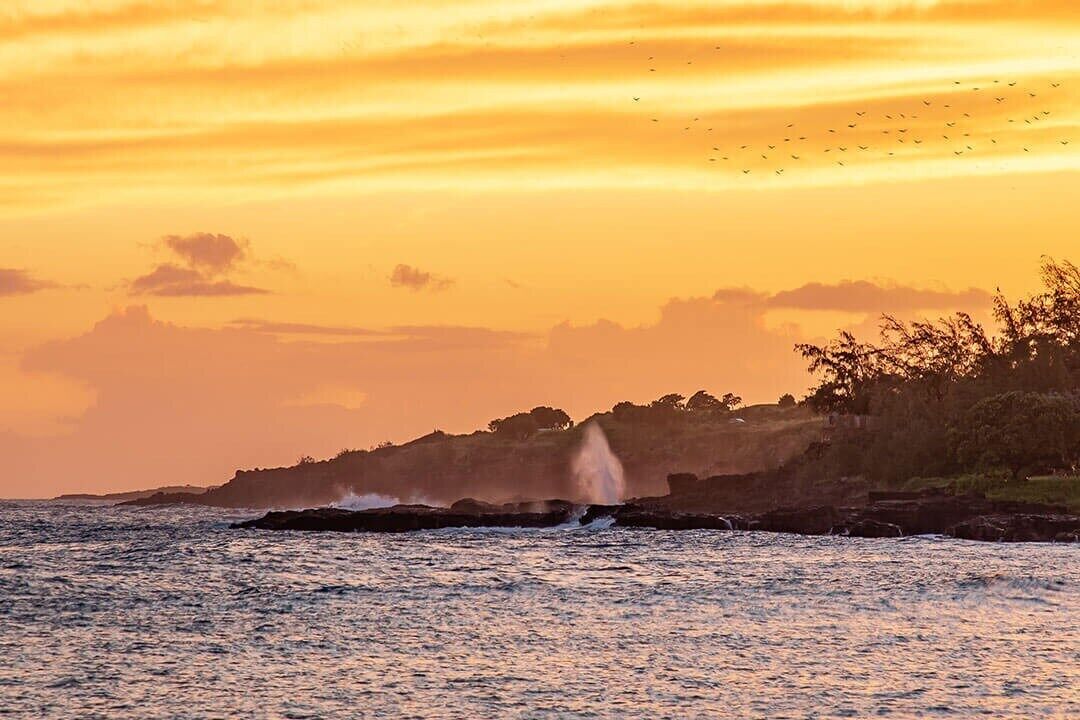 Un atardecer sobre una zona costera con olas rompiendo contra las rocas y una bandada de pájaros volando en el cielo.