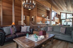 Télévision, cheminée, lecteur de DVD, chaîne hi-fi