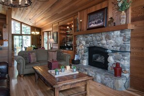 Télévision, cheminée, lecteur de DVD, chaîne hi-fi