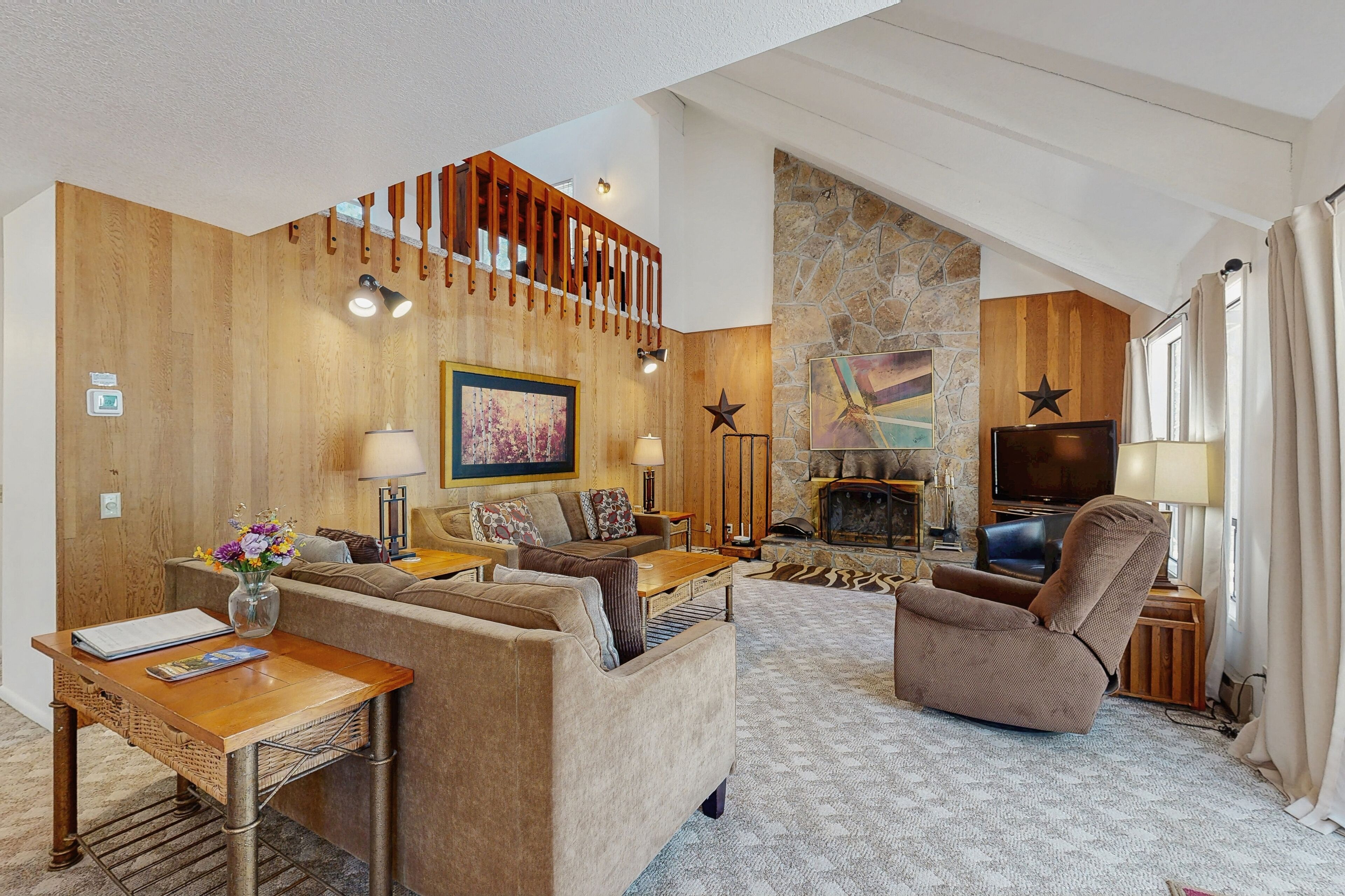 Télévision, cheminée, jeux vidéo, lecteur de DVD