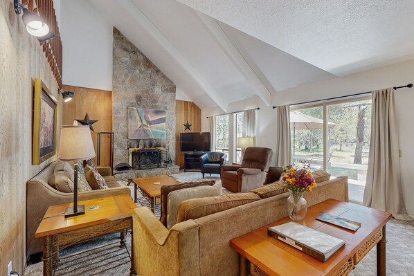 TV, fireplace, video games, DVD player