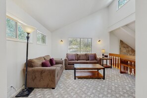 TV, fireplace, video games, DVD player