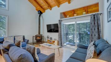 TV, fireplace, books