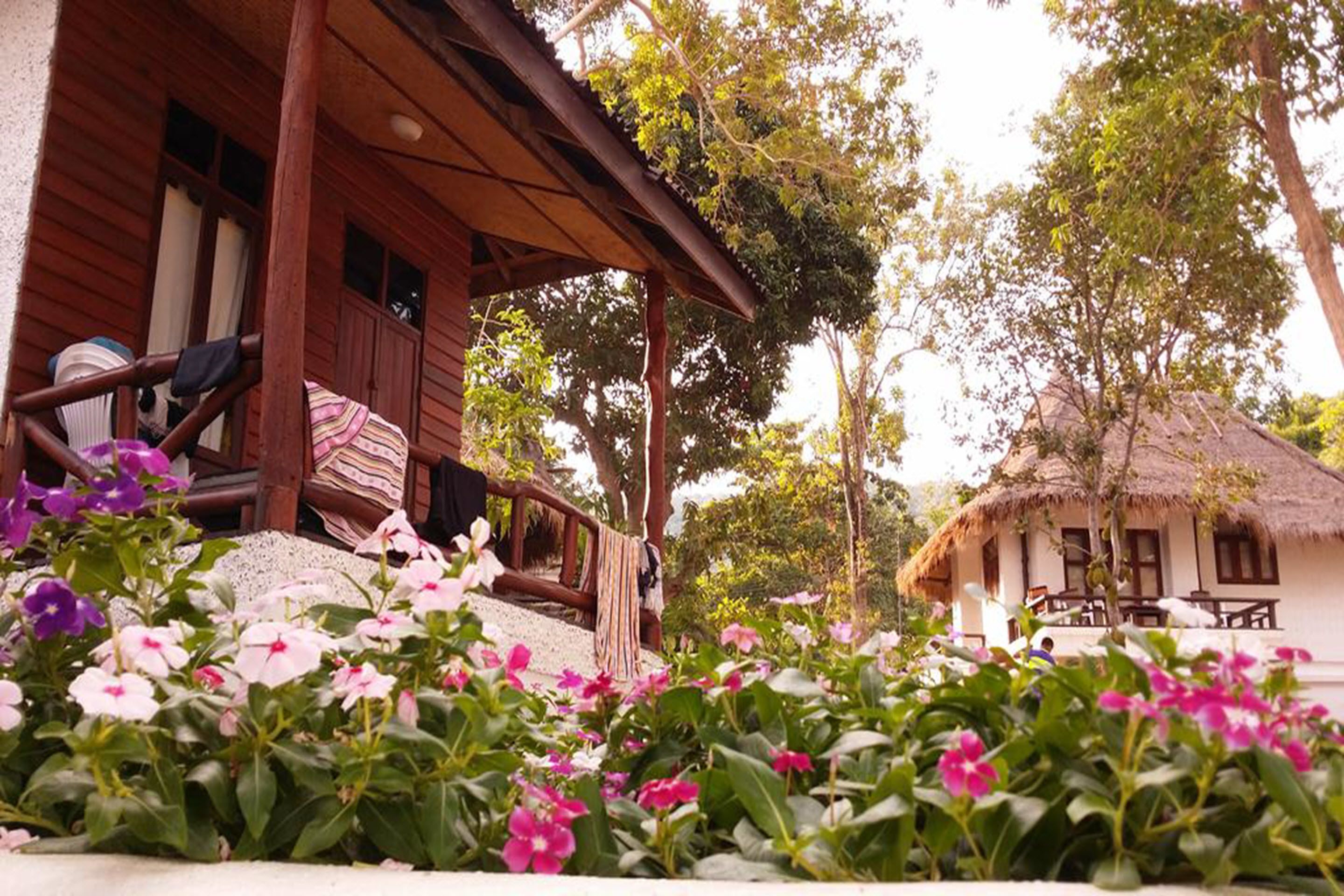 triple bungalow with sea view | hypo-allergenic bedding, minibar, in-room safe, desk