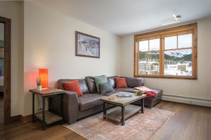 Smart TV, fireplace, DVD player, stereo
