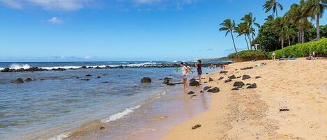 A beach with clear skies, palm trees, and rocky shoreline.