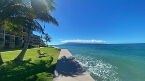 Ein Strandhotel mit Poolanlage, Palmen und Meerblick.
