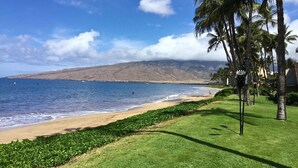 A beach with a grassy area and palm trees. - Ma'alaea Surf Unit E3-1 BR Ground Floor Beachfront Condo, Wi-Fi, AC, Pool, TV (Kihei)