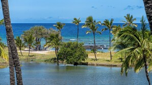 A tropical beach with palm trees and a clear view of the ocean. - Gorgeous Oceanfront Terrace Condo - Near Beach Club! (Kamuela)