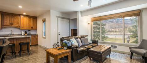 Télévision, cheminée