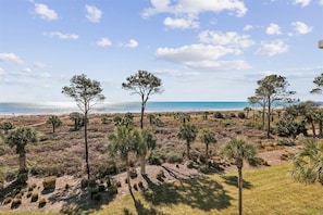 Een zandstrand met schaarse begroeiing en bomen, een heldere lucht en een rustige zee.