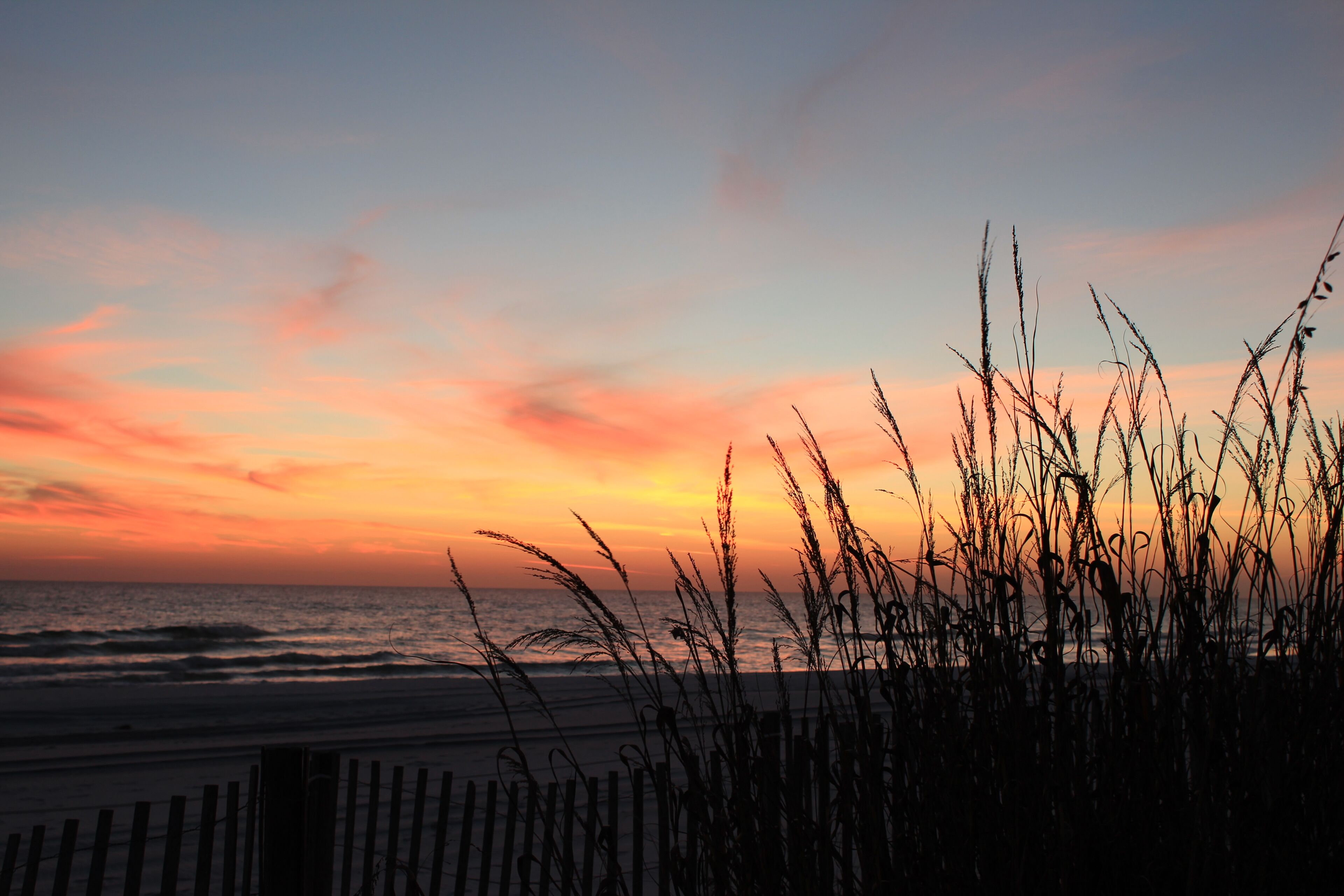 A beach with a wooden fence and tall grasses in the foreground, and a sunset over the ocean.